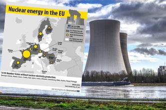 Elektrownie atomowe w UE. Trzy czwarte produkcji pochodzi z czterech krajów