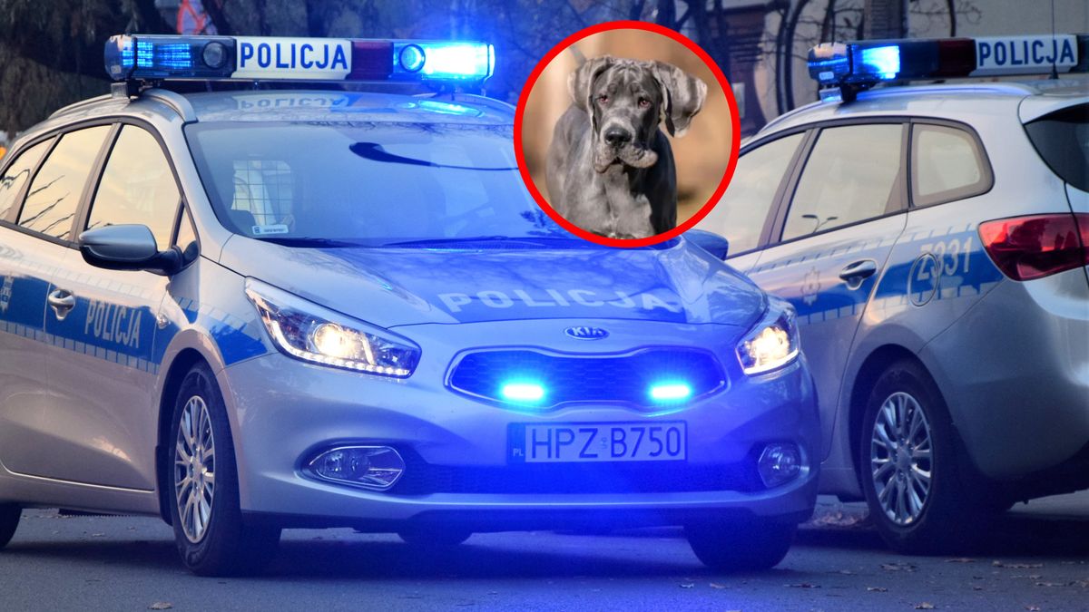 Nowe ustalenia dotyczące śmierci 7-latki.