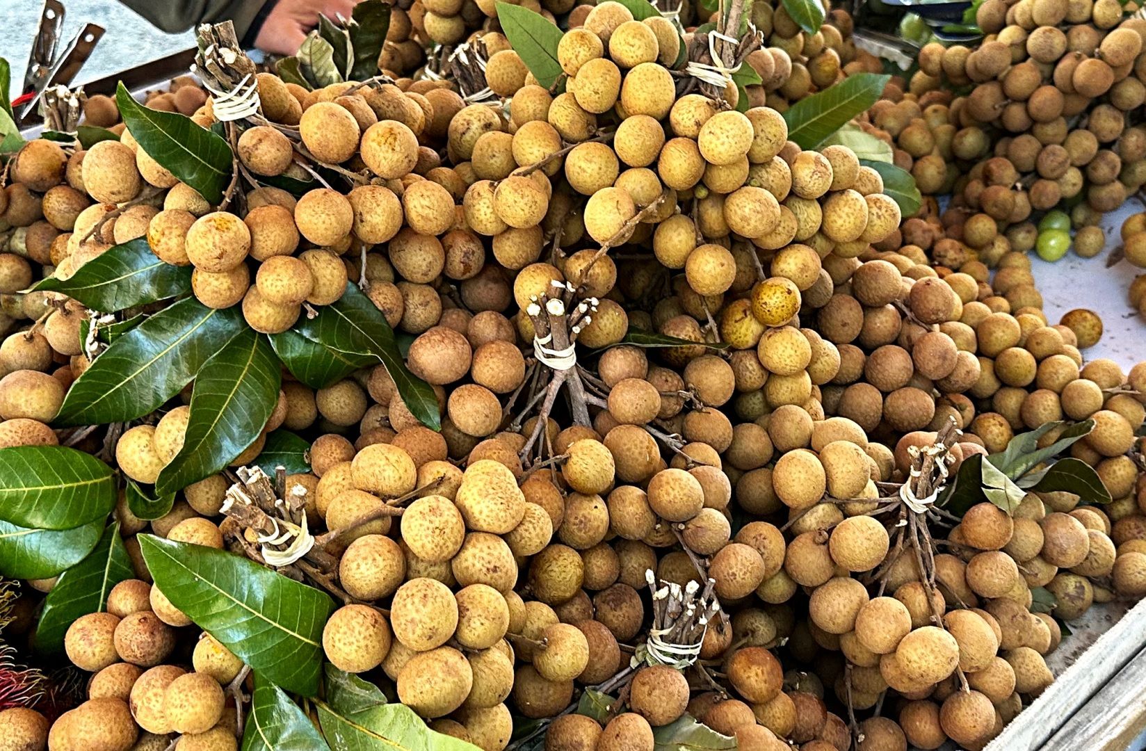 Longan ma wyjątkowy smak i bogate wartości odżywcze, które czynią go cennym dodatkiem diety.