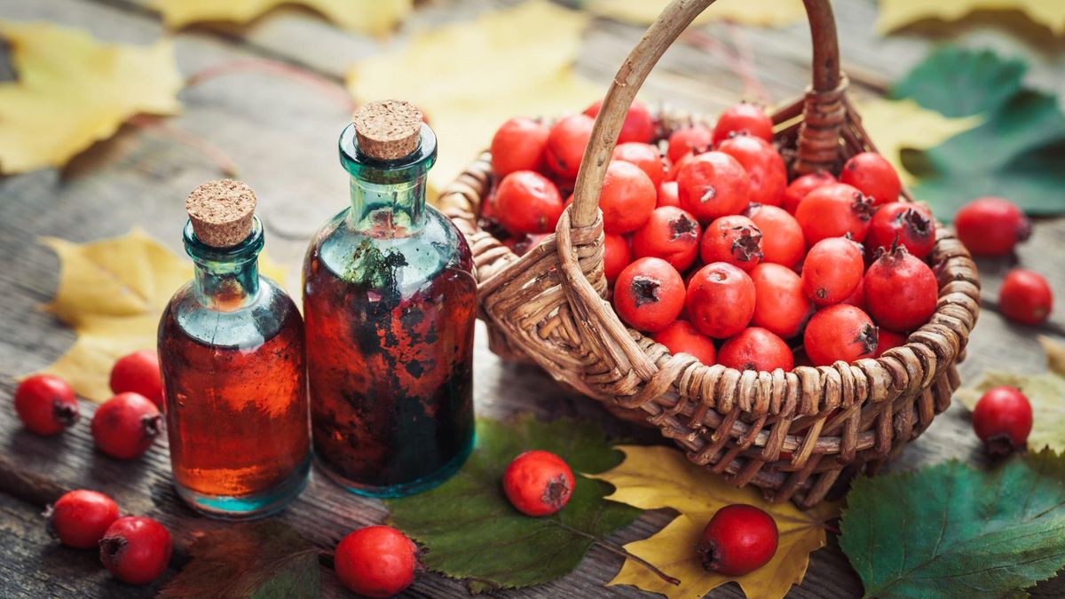 Nalewka z głogu zawierała alkohol metylowy