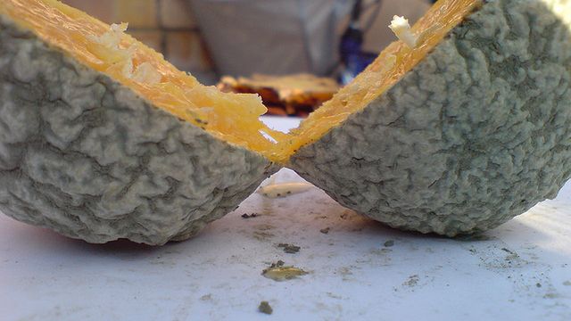 Trwa wielka awaria sieci Orange 1