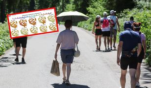 Ostatni taki weekend. Prognoza na najbliższe dni