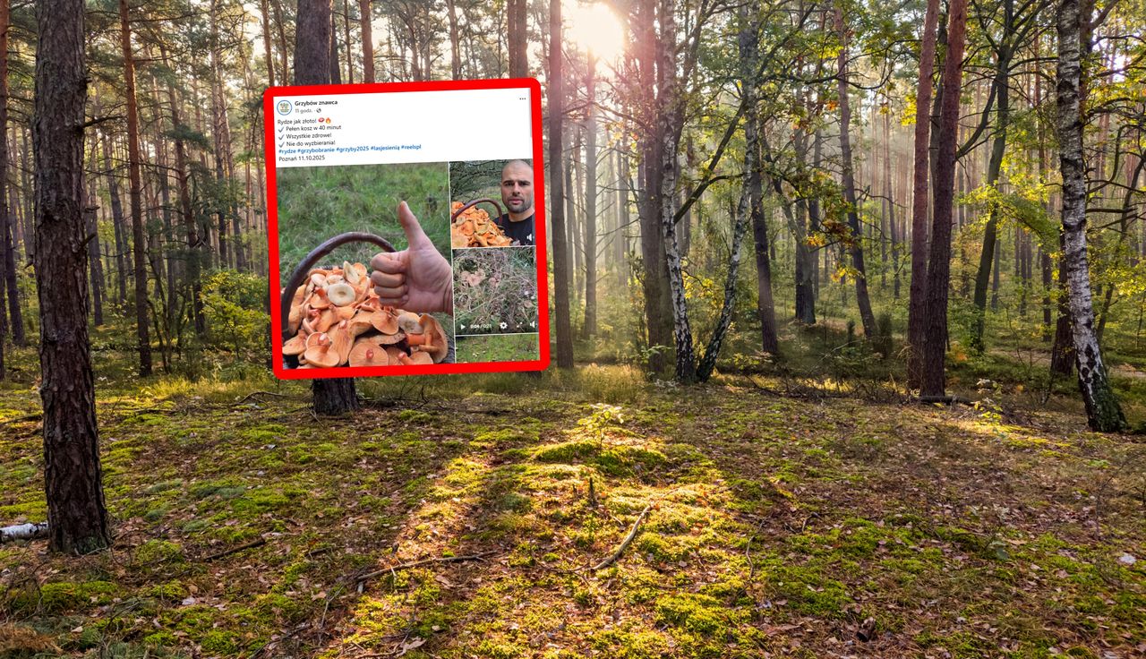 Tylko 40 minut w lesie. Oto efekt. Powtarzał jedno słowo