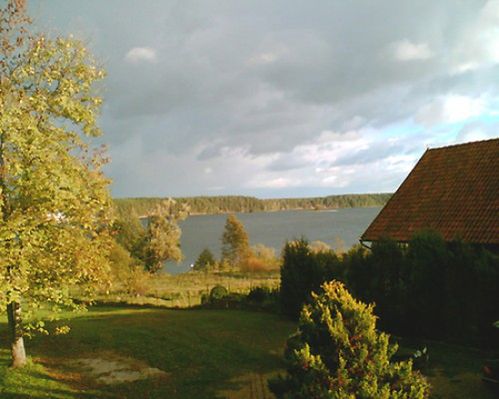 Obraz
