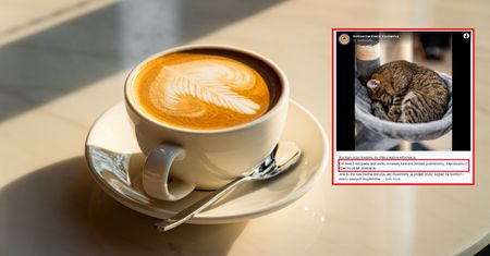 Nie wpuszczą dzieci w tym wieku. Radykalna decyzja kawiarni
