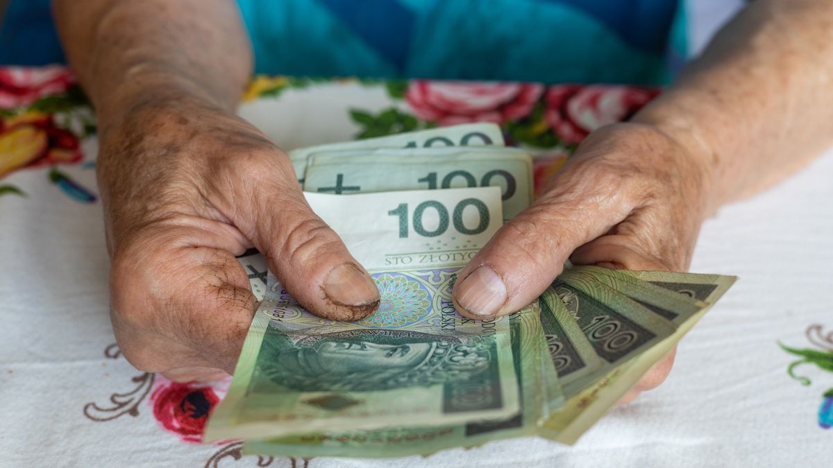 An old woman holds 100 Polish zloty banknotes in her hands, Polish money, Concept, Pension, allowance, help for the elderly
An old woman holds 100 Polish zloty banknotes in her hands, Polish money, Concept, Pension, allowance, help for the elderly
Andrzej Rostek
female, age, job, euro, income, bills, hundred, valorization