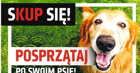 Problem psich odchodów. Miasto Przypomina właścicielom o obowiązku sprzątania po swoim psie w ramach akcji SKUP SIĘ!