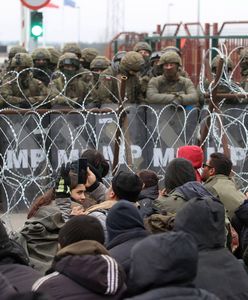 Zaskakujący sondaż. Czarzasty ma teorię