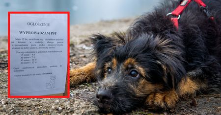 Ta karteczka znów stała się viralem. "Dziś odebrałam ze sto telefonów"