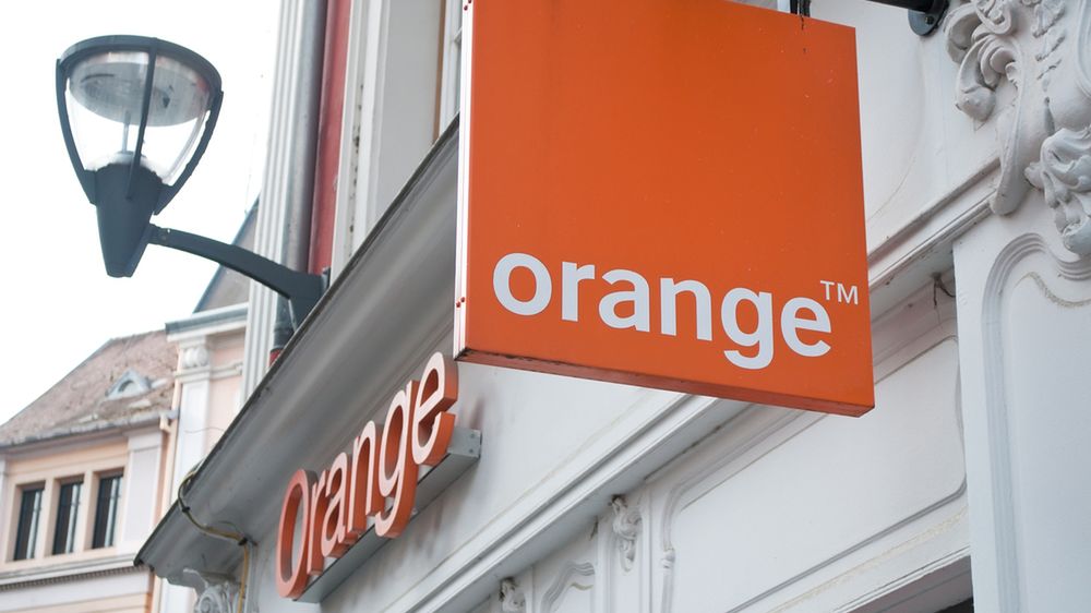 fot. Shutterstock.com