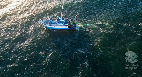 Naturalnie Bałtyckie z pierwszą kampanią reklamową