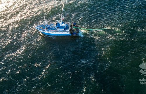 Naturalnie Bałtyckie z pierwszą kampanią reklamową