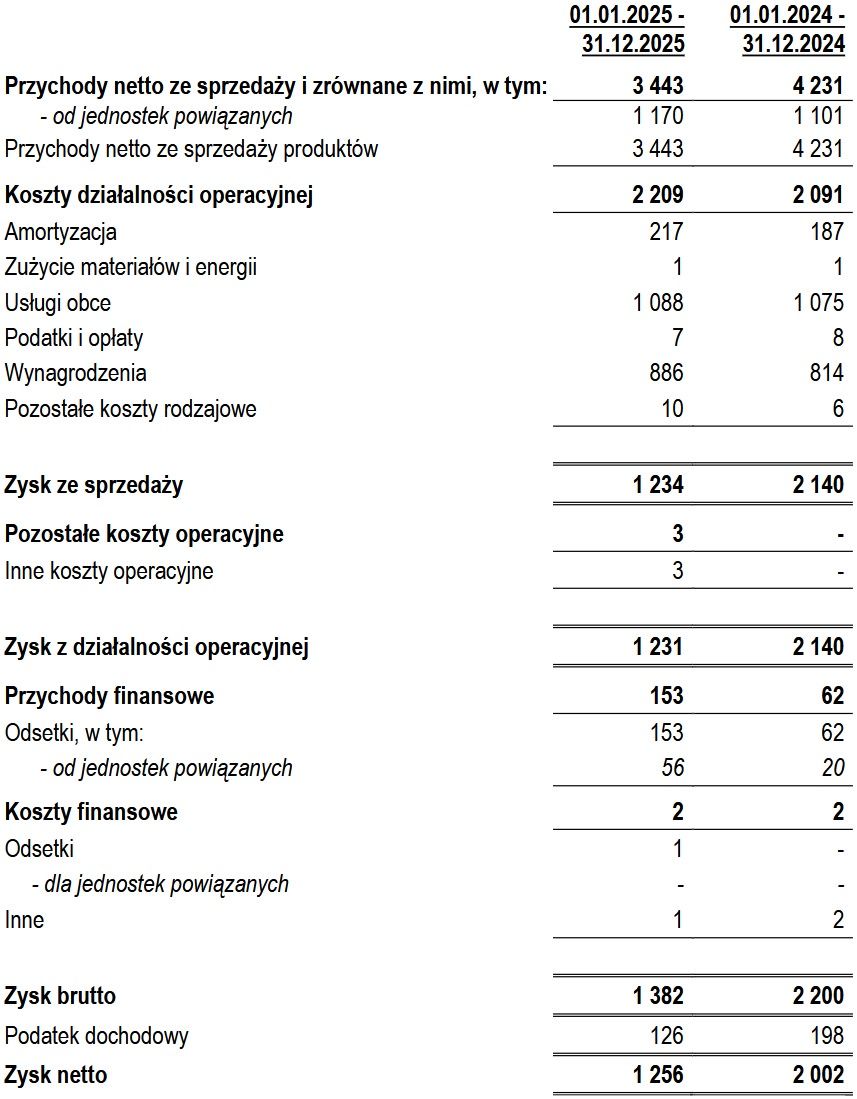Wyniki finansowe naEkranie.pl