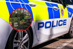 Tragedia na cmentarzu w Anglii. Na czterolatka spadł nagrobek