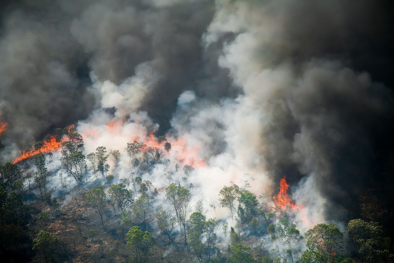 Amazonia płonie. Pożary największe od kilkunastu lat