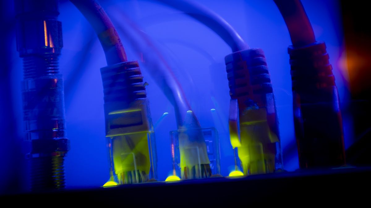 Ethernet calbe wires lighting up connected to an internet router modem are seen against a blue background in Warsaw, Poland in this illustration photo taken on 17 April, 2024. (Photo by Jaap Arriens/NurPhoto via Getty Images)