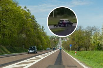Przypiął psy do auta i ciągnął. Teraz tłumaczy się z nagrania