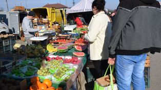 Wierzbica: Warzywa i owoce na niedzielnym targowisku