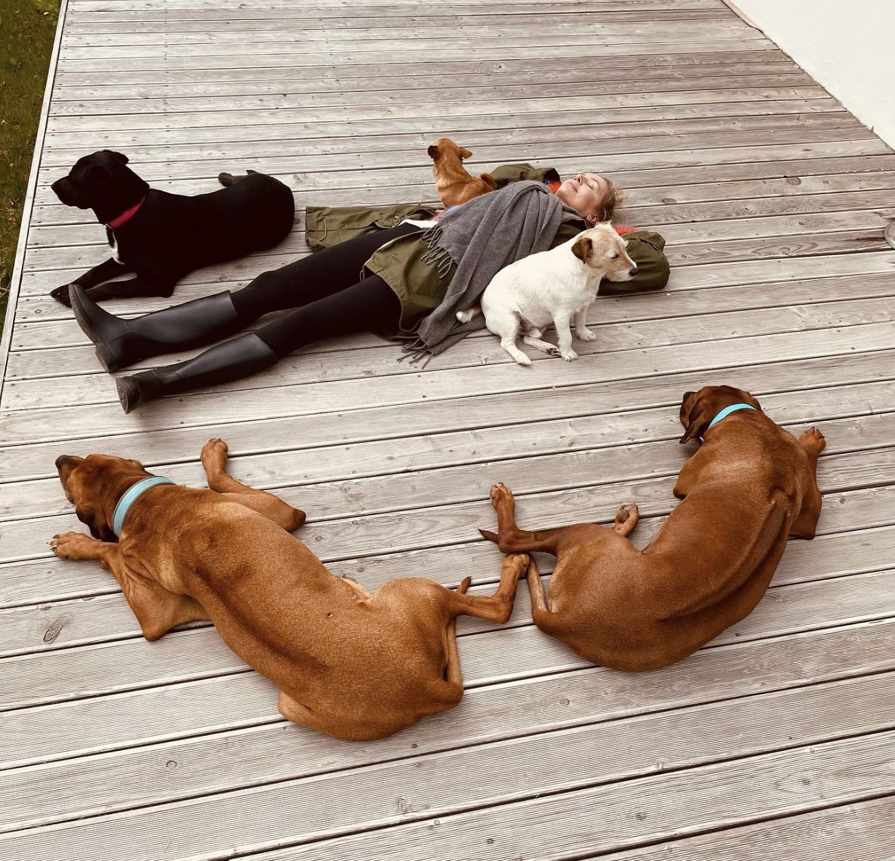 Taras Agnieszki Woźniak-Starak