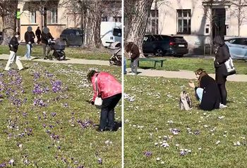 Co roku ten sam problem. Nagranie z Krakowa. "Mogło być ładnie"