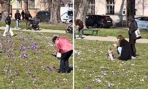 Co roku ten sam problem. Nagranie z Krakowa. "Mogło być ładnie"