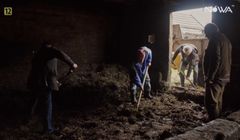 Więcej kanałów Polsatu w lokalnym multipleksie naziemnej telewizji cyfrowej