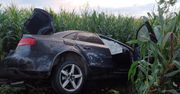Audi w polu kukurydzy. Mężczyzna nie żyje