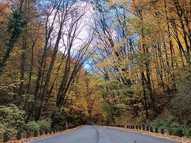 Ojcowski Park Narodowy