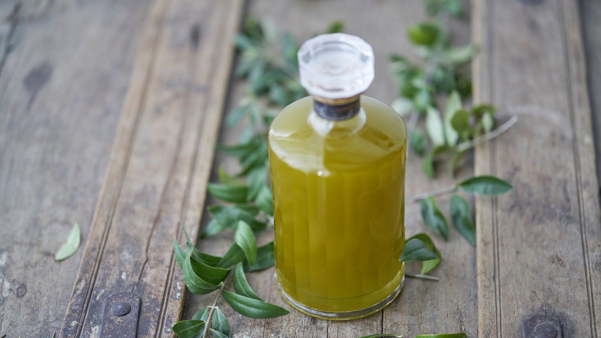 one glass bottle on a wooden rustic table filled with a yellow liquid surrounded by green leaves mediterranean summer feelingone glass bottle on a wooden rustic table filled with a yellow liquid surrounded by green leaves mediterranean summer feelingpascal malamashealthful, cuisine, branch, golden, oils, oil, glass, fat, healthy, health, plant oil, fresh, vintage, wooden, living, room, vegan, bio, indoor, nutrition, one, product, sell, beverage, opject, various