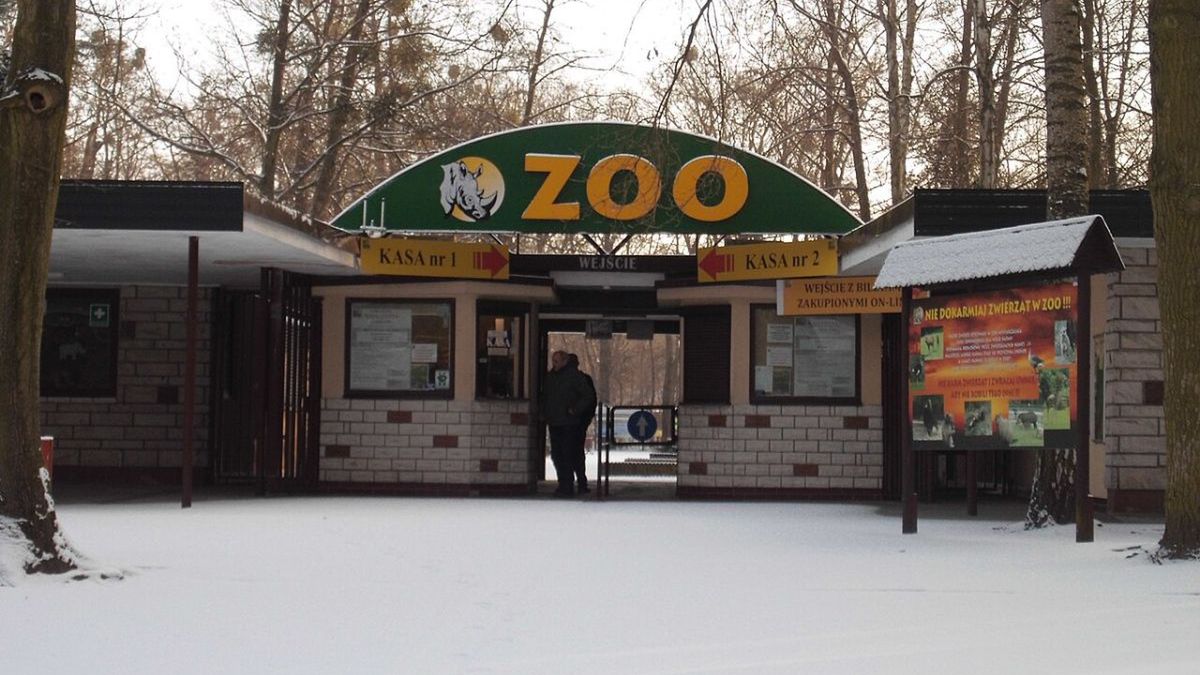 Incydenty w poznańskim ZOO