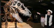 Wymarłe, ale nie zapomniane. Odrób lekcję z historii Ziemi