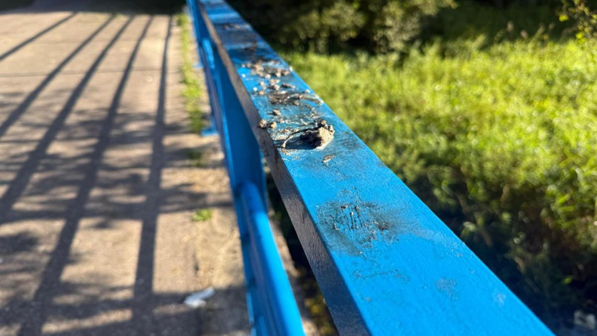 Leśnicy pokazali zdjęcia. Ktoś zniszczył mostek i tablicę