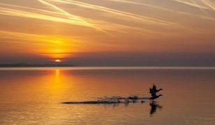 Weekend za pół ceny. Ruszyła sprzedaż ofert