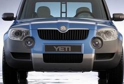 Nadchodzi śnieżna Skoda