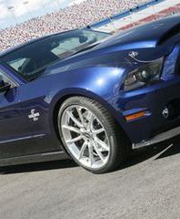 Rumak z jadem kobry w żyłach