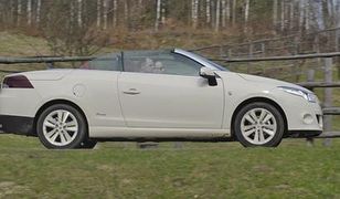 Francuskie propozycje dla wybrednych