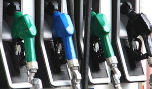 Biopaliwa jednak nieekologiczne?