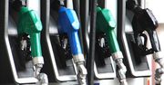 Co ósma stacja paliw jest nielegalna