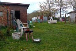 Zwłoki w garażu Płaczewie. Arka aresztowali razem z teściową