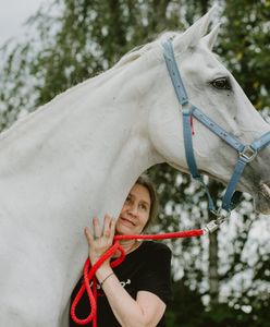 Bielsko-Biała. Suchy chleb dla konia? Nie! Makulatura! Zwierzęta będą miały lepszą opiekę