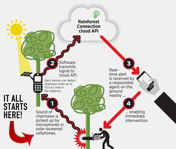Prawdopodobnie najfajniejszy sposób na wykorzystanie starych telefonów. Nie zgadniecie, do czego służy to urządzenie 2