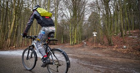 Majówka nad morzem? Trójmiejski Park Krajobrazowy będzie zamknięty