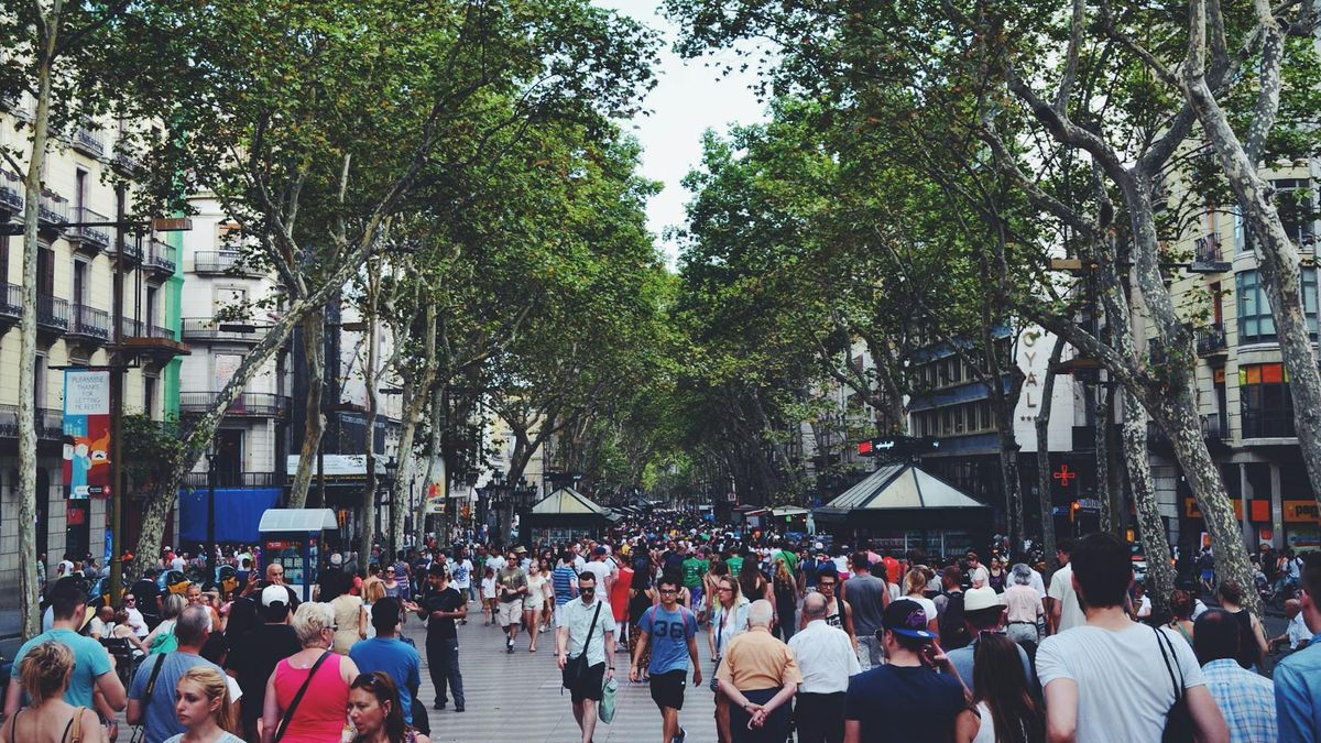 Naukowcy rozszyfrowali dynamikę tłumu