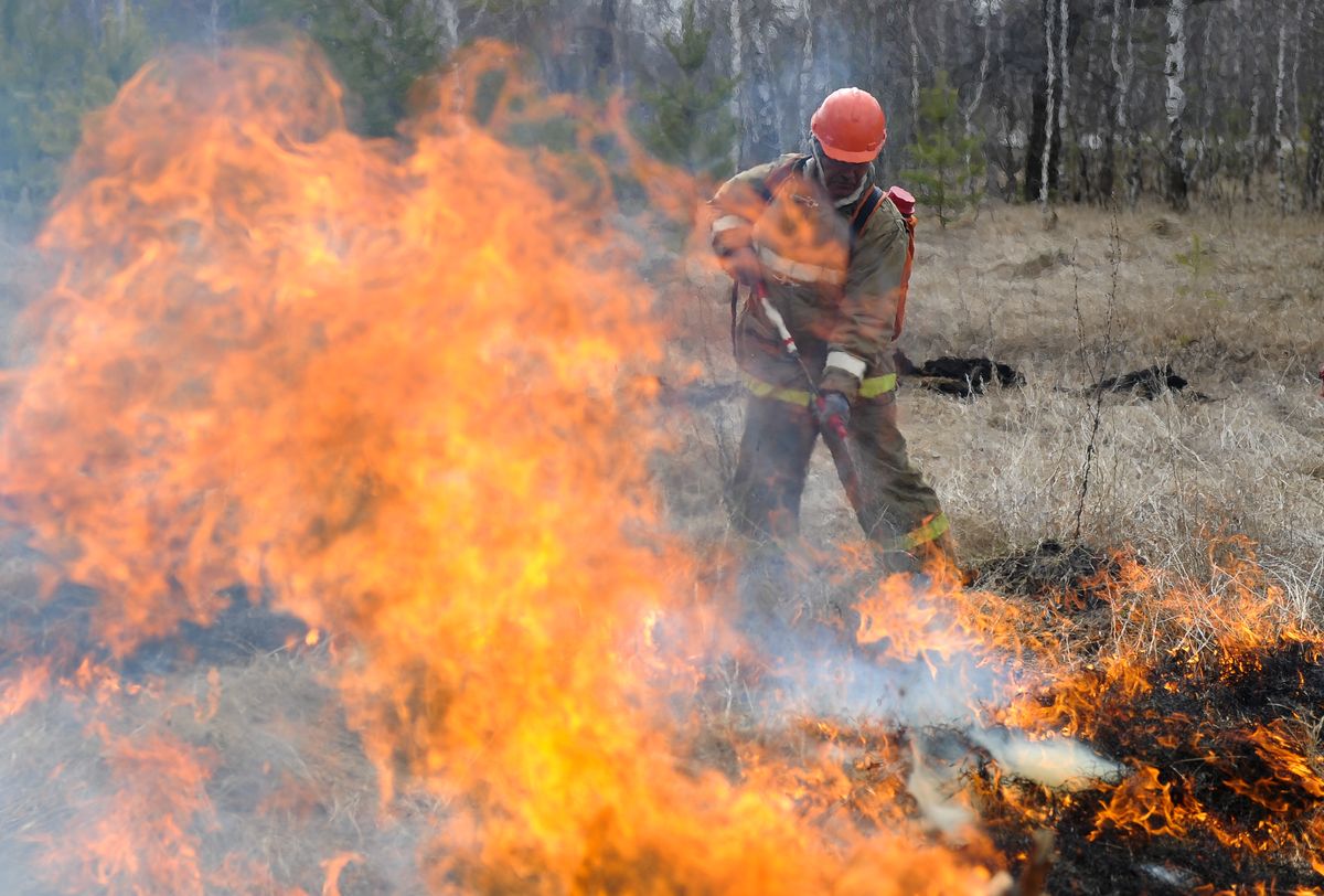 Strażacy podpalali lasy, bo chcieli sobie dorobić. Przez nich odnotowano rekord