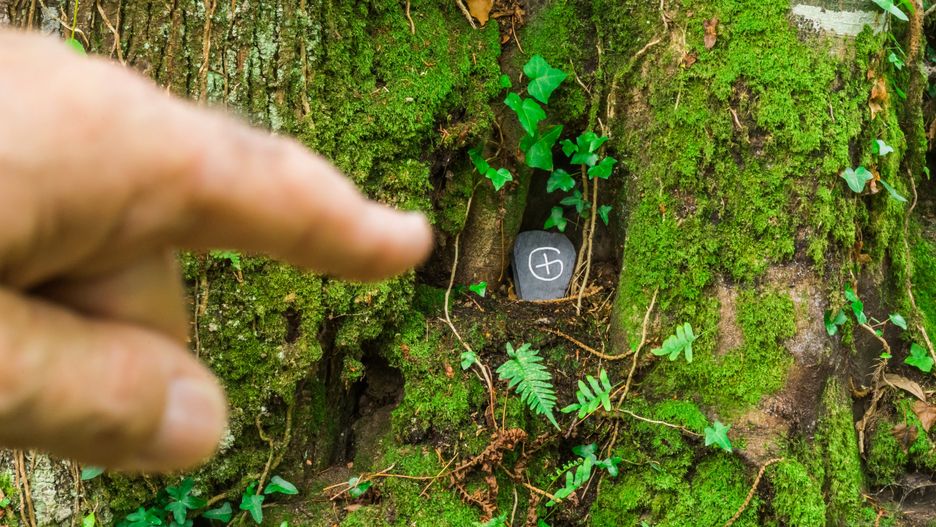 Geocaching - ciekawa gra plenerowa, która urozmaici zwiedzanie