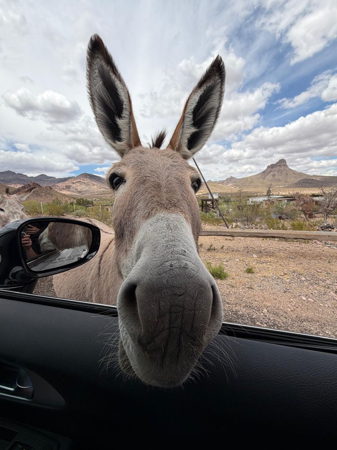 USA, Las Vegas, Route 66, Grand Canyon