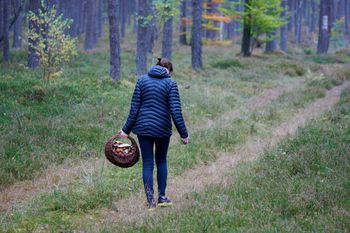 Tych grzybów nie zbieraj. Możesz dostać wysoki mandat