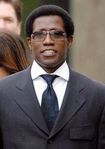 Wesley Snipes znów do sądu