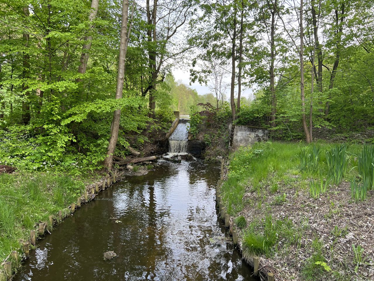 Odrestaurowany za unijne granty park wokół dworku Adama Chełmońskiego