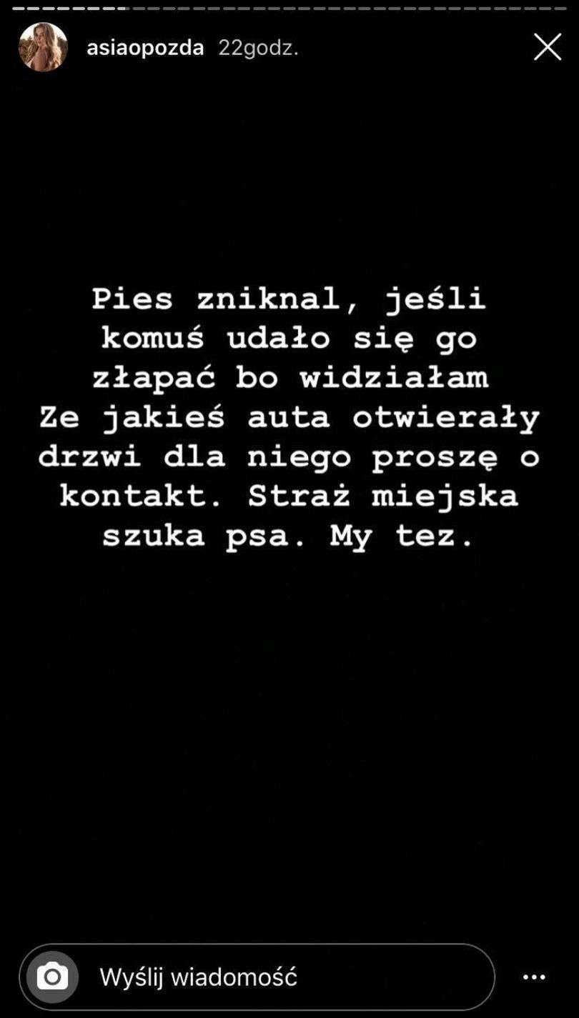 Joanna Opozda świadkiem porzucenia psa na ruchliwej ulicy